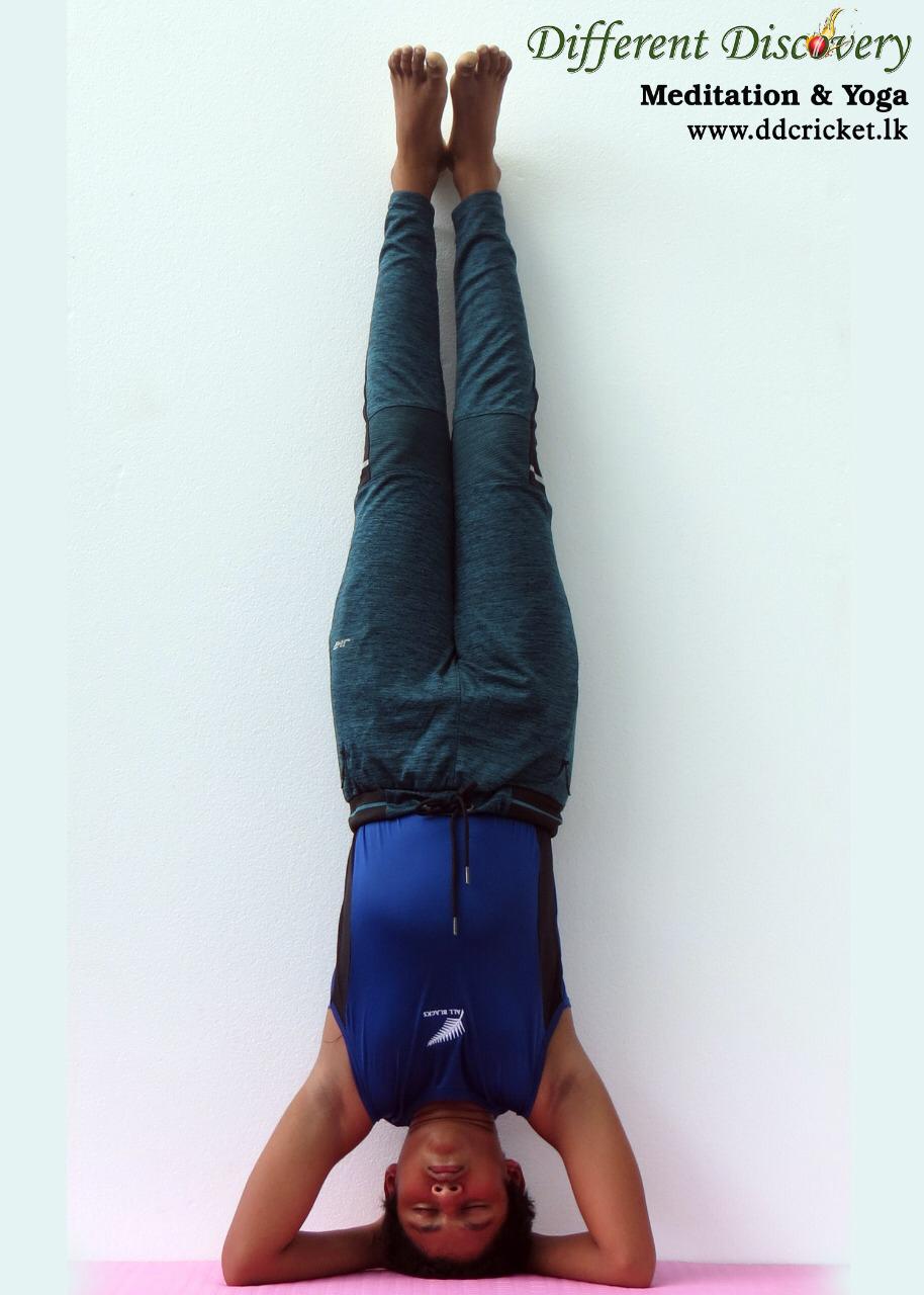 Meditation & Yoga